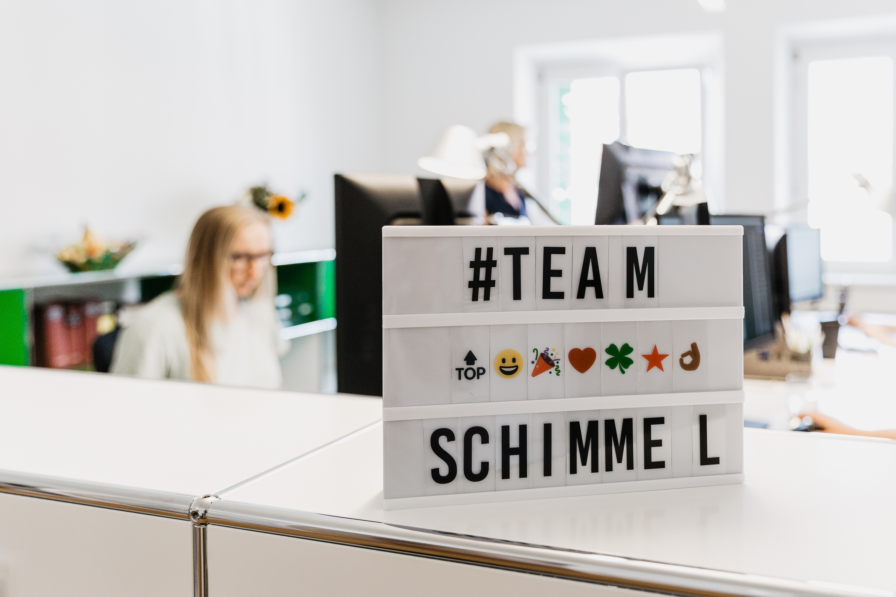 Team Schimmel Steuerberater Wirtschaftsprüfer